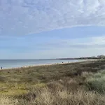 Strandflieder 101 * 博尔滕哈根